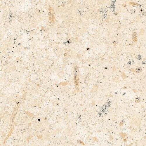 Panama Limestone | Honed Finish Tile
