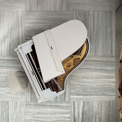 Prexious of Rex Floor & Wall Tile