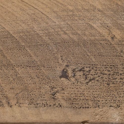 Timberdeck Pavers
