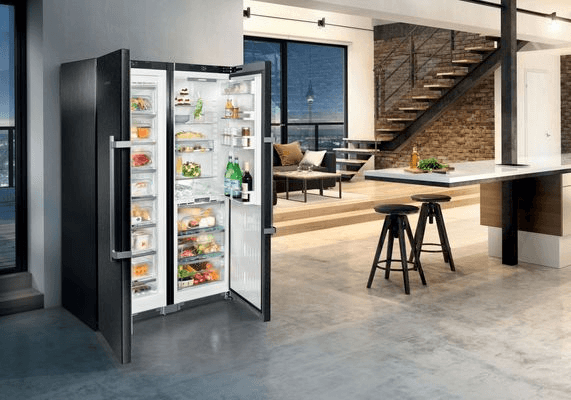 SBSbs 8673 Premium | BioFresh NoFrost | BlackSteel Side-by-Side Combination