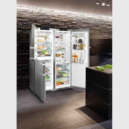 SBSes 8484 PremiumPlus BioFresh NoFrost | Side-by-Side Combination