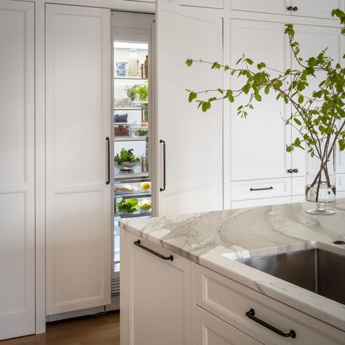 Sub-Zero Designer Series All Refrigerator Column