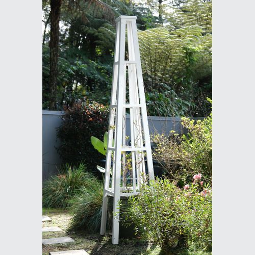 Garden Trellis/Obelisk