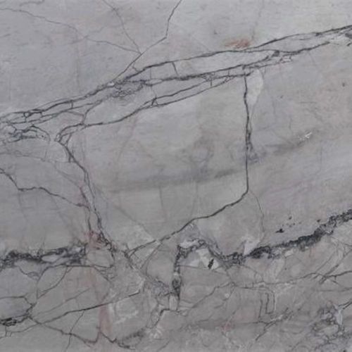 Graphite Roots - Platinum Quartzite