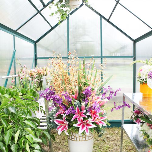 Ultimate Greenhouse 6mm Twin Wall 3000 x 9000mm