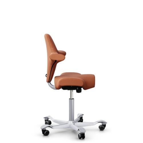 HÅG Capisco 8106 - Classic Saddle Seat