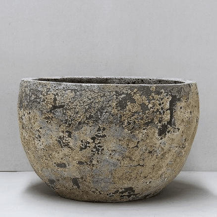Helios Palm Planter
