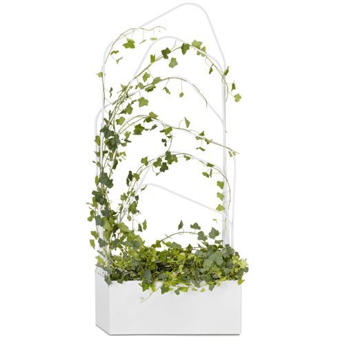 Green Divider by Louise Hederström