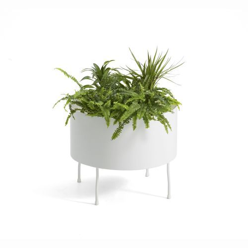 Green Pedestals Pot by Front