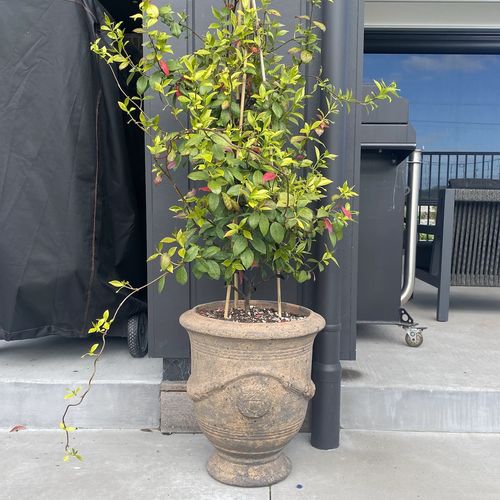 Old Stone - French Urn