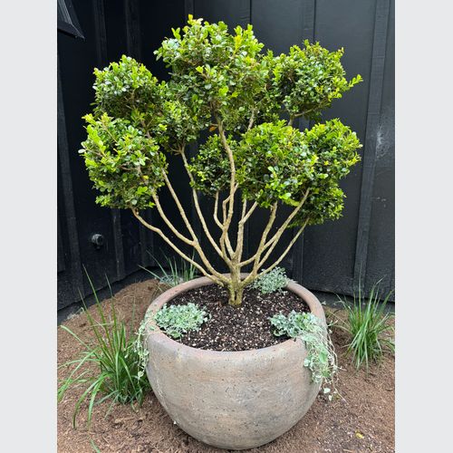 Old Stone - Ball Planter