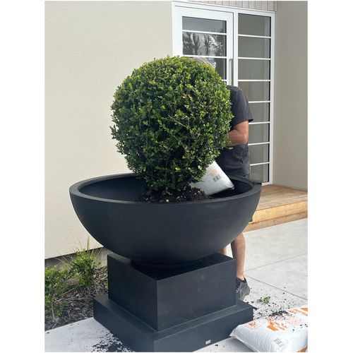 Volcano Bowl and Base