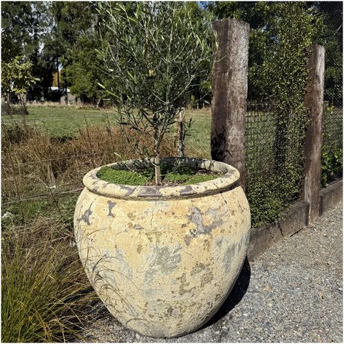 Atlantis - Opium Jar