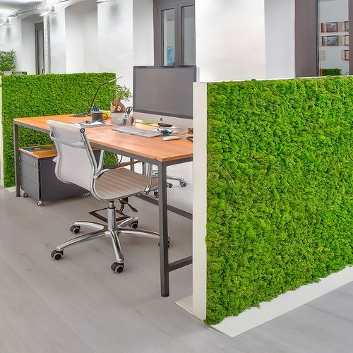 MOSSwall