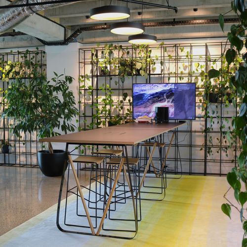 Indoor Plant Hire | Hire Plants