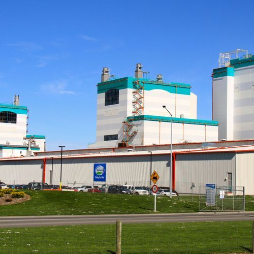 Hygiene and Agriculture Coatings