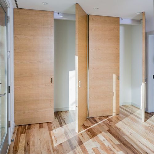 Internal Pivotica Hinge Swing Door