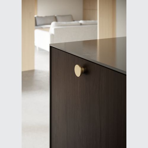 Furnipart Circle Handle