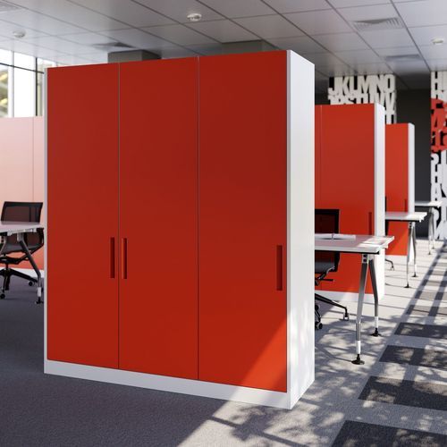 Salice Exedra1  Single Pocket Door