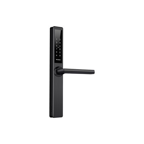 Smart Entry Phoenix L1
