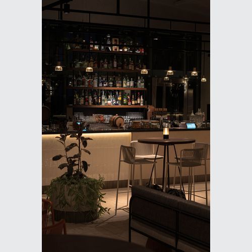 IBL Flex 15H LED Light