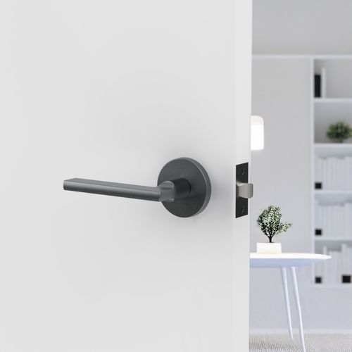 Raglan Lever Handle In Nickel Graphite