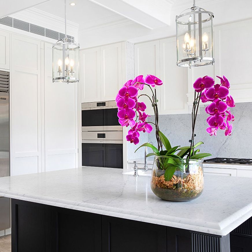 Natural Stone Slabs | Bianco Carrara  Marble