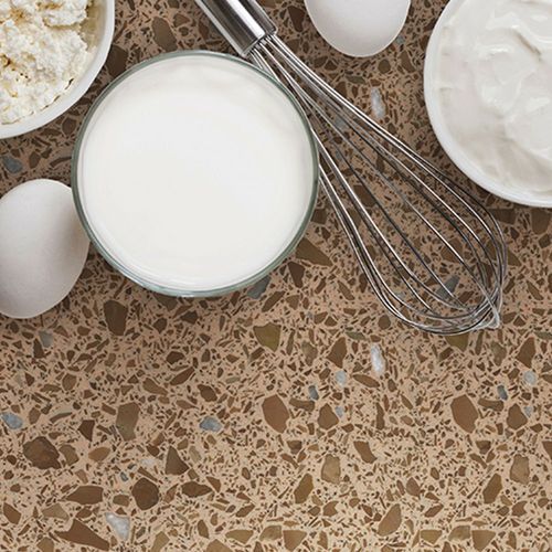 Venetian Agglomerate Marble