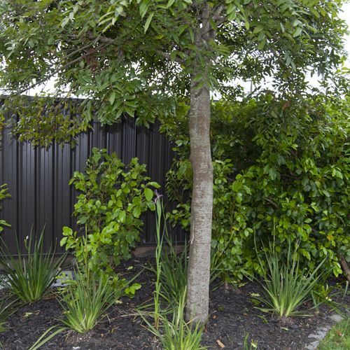 Aztec Fencing Profile