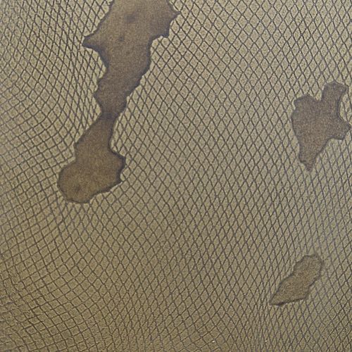 Brass Reptile Patina | Liquid Metal Finish