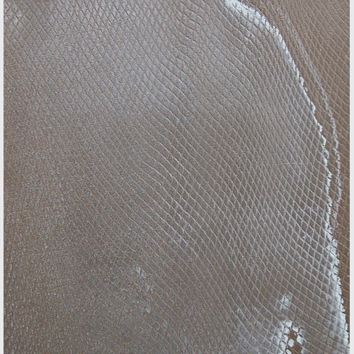Bronze Reptile | Liquid Metal Finish