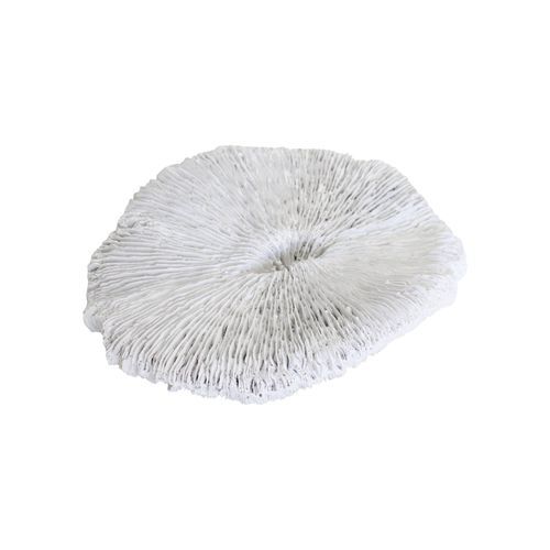 Faux Plate Coral