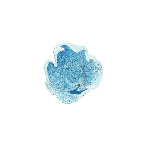 Drop