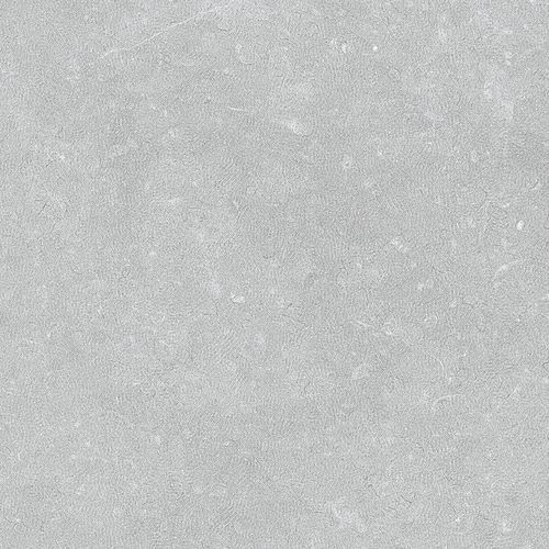 Noon Grey