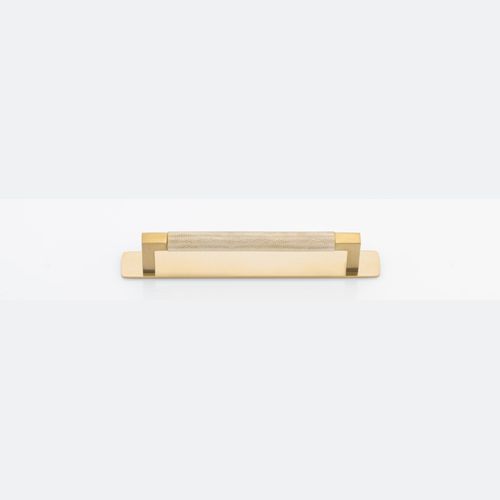 Brunswick Cabinet Pull with Backplate  - CTC160mm
