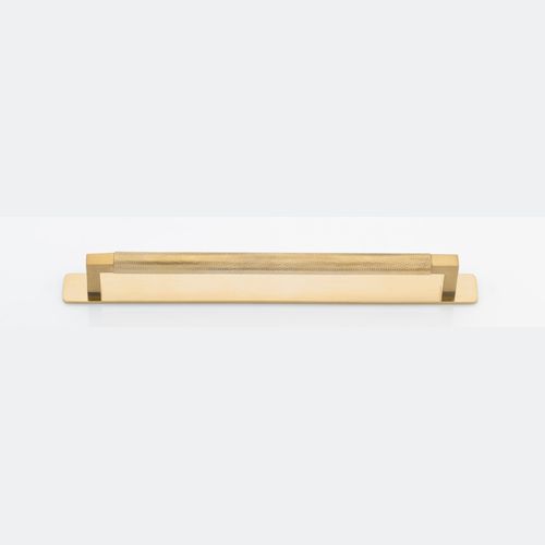 Brunswick Cabinet Pull with Backplate  - CTC256mm