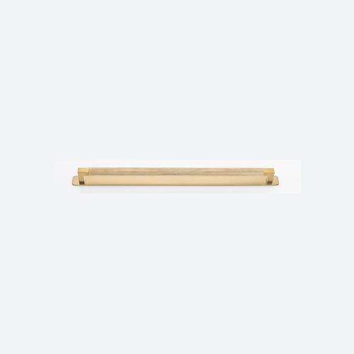 Brunswick Cabinet Pull with Backplate  - CTC450mm