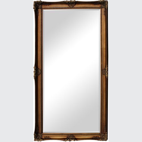 F23 Orléans Mirror