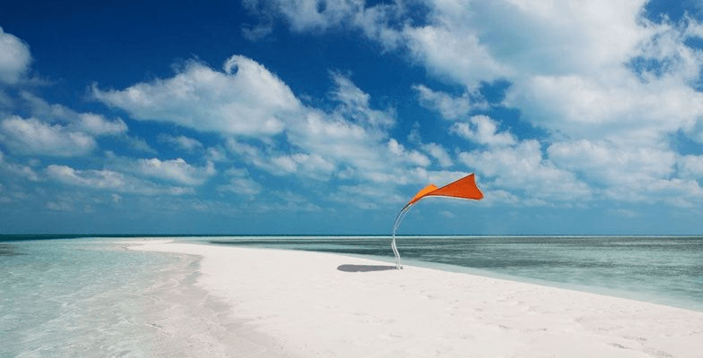 Tuuci Stingray Shade Sculpture