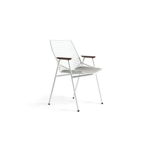 Zelo Chair with Arms