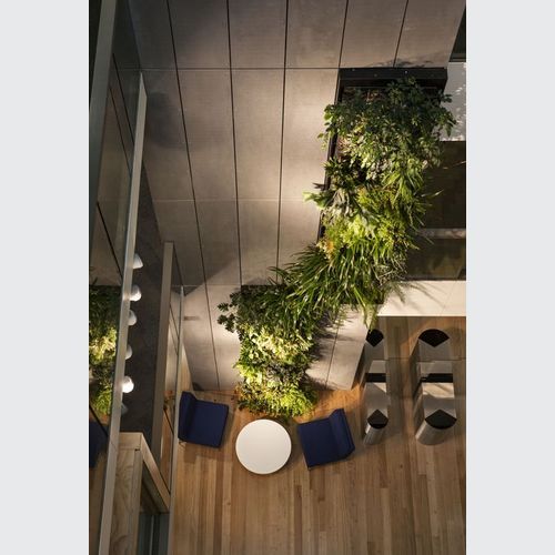 Green Walls | GreenAir