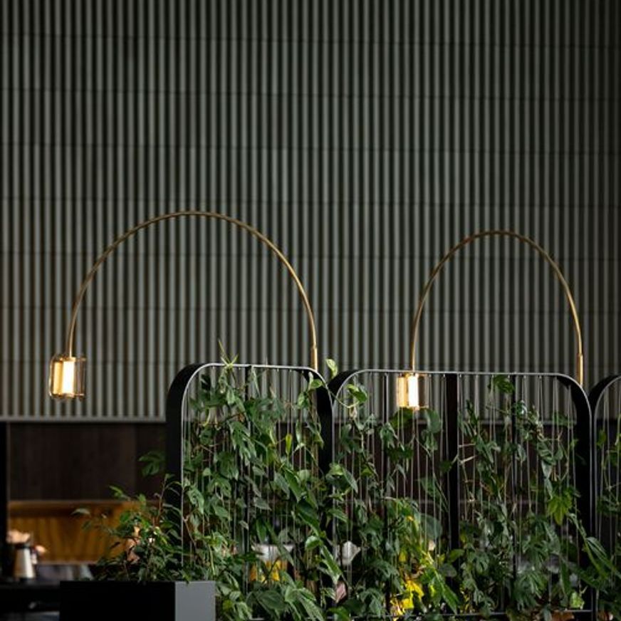 Green Screens Plant Wall | GreenAir