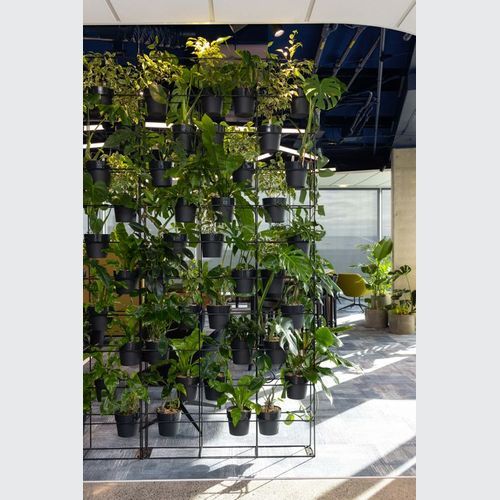 Stacked Plant Systems | GreenAir