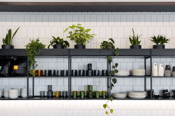 Mixed Foliage Displays | GreenAir