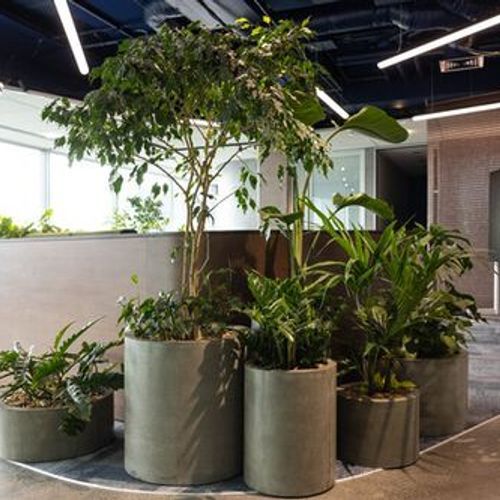 Floor Standing Planters | GreenAir