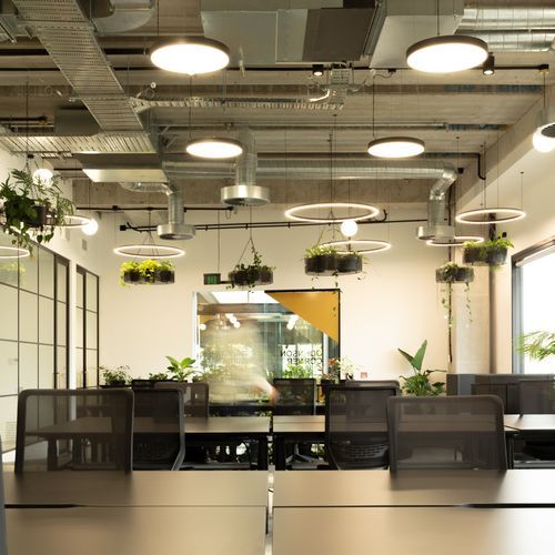 Suspended Plantscapes | GreenAir