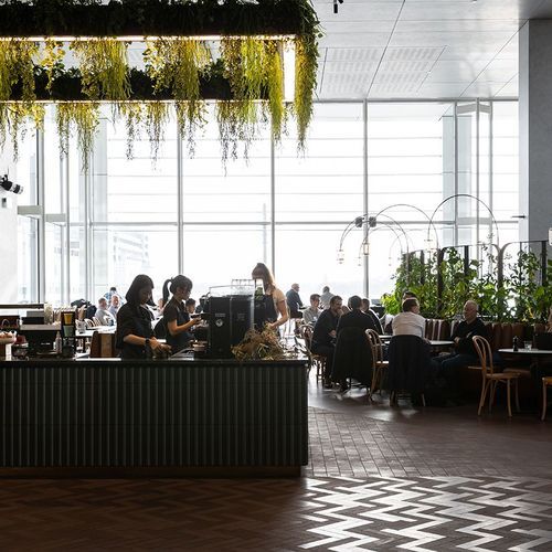 Suspended Plantscapes | GreenAir