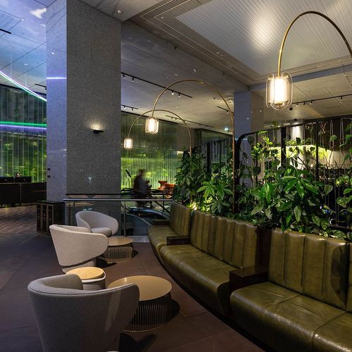 Green Screens Plant Wall | GreenAir