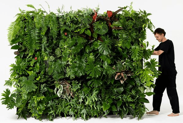 Event Plant Hire | GreenAir