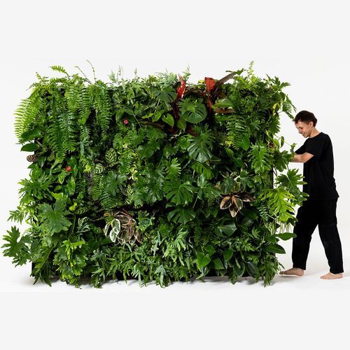 Event Plant Hire | GreenAir